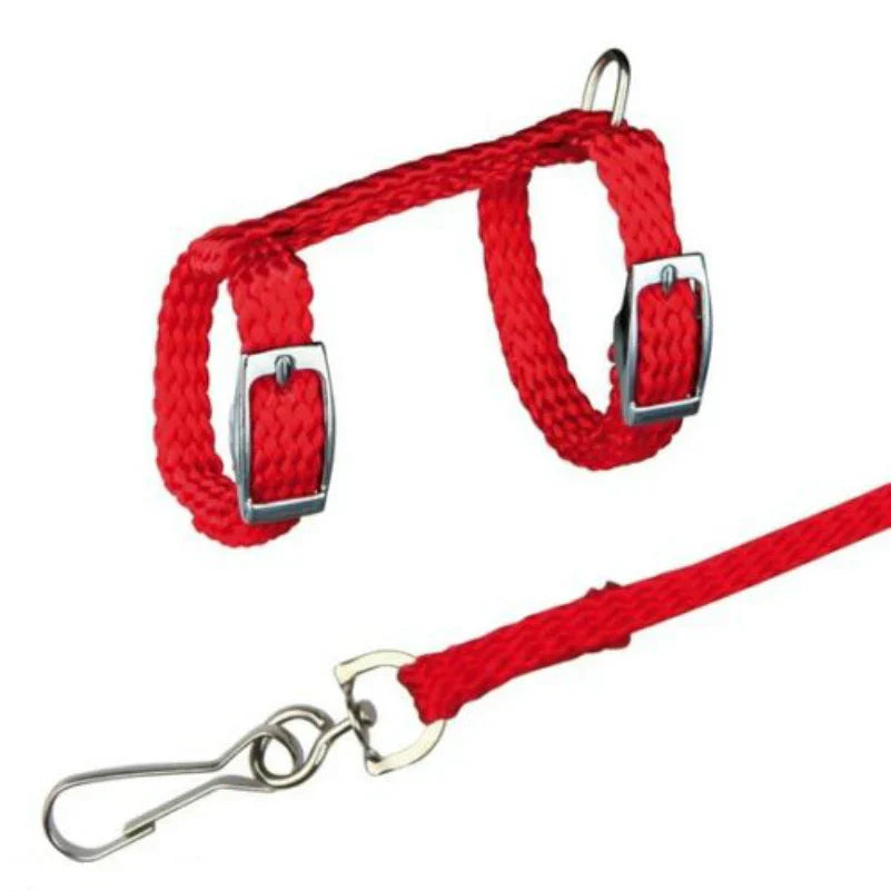 4 Colors Adjustable Nylon Harness Collar Set with
