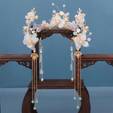 Chinese Hanfu Hair Accessories Set Long Fringed Vintage