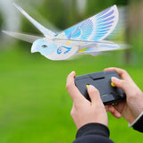 RC Bird RC Airplane 2.4 GHz Remote Control