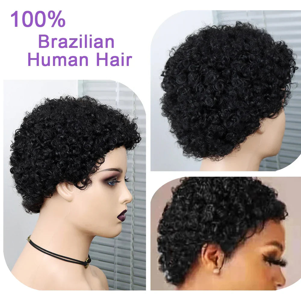 Kinky Curly Wigs Short Wigs for Black Women