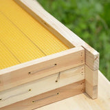 12100 pcs Bee Hives Installation Thread Hole Copper