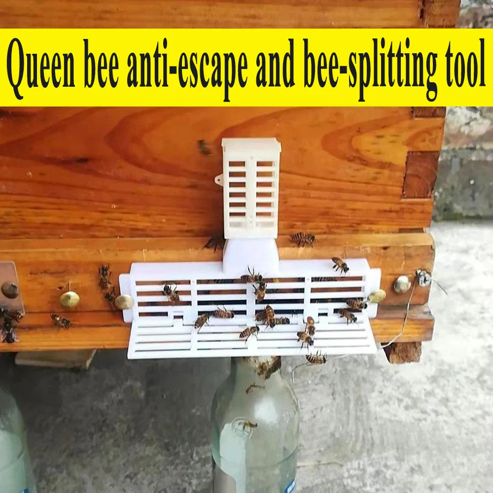 12SET Beekeeping Tools Queen Anti Fly AntiEscape Frame