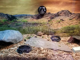 Mr.Tank Reptile Habitat Background Poster HD Desert View