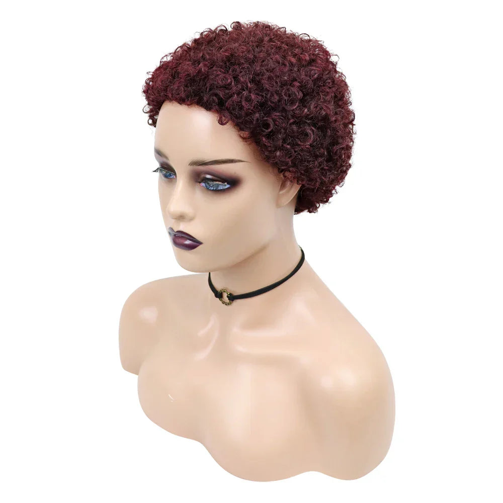 Kinky Curly Wigs Short Wigs for Black Women