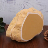 Powerlong Crawler Hiding Cave Lizard Turtle Hide Rest