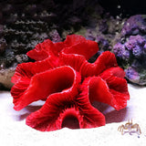 2022 New Artificial Resin Coral Reef Aquarium Ornaments