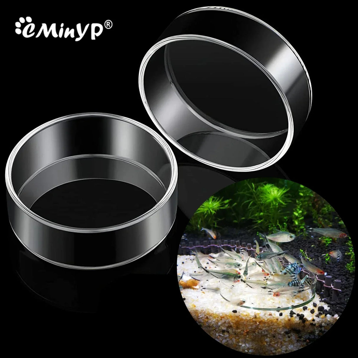 Aquarium Feeding Bowl Fish Tank Feeder Shrimp Tropical