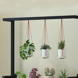 3 Tier Black Plant Stand With Hanging Basket