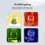 Desktop Smart Betta Fish Tank Mini Acrylic Betta