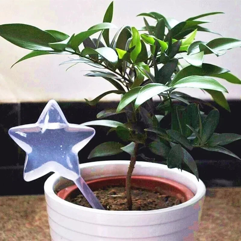 House Garden Water Houseplant Plant Pot Little Bird