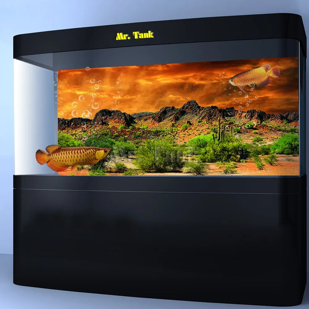 Mr.Tank Reptile Habitat Background Poster HD Desert View