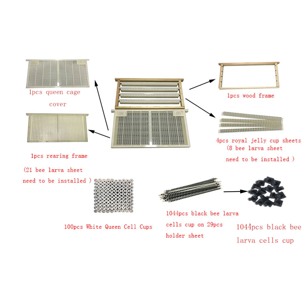1set queen rearing system bee larva cell cups