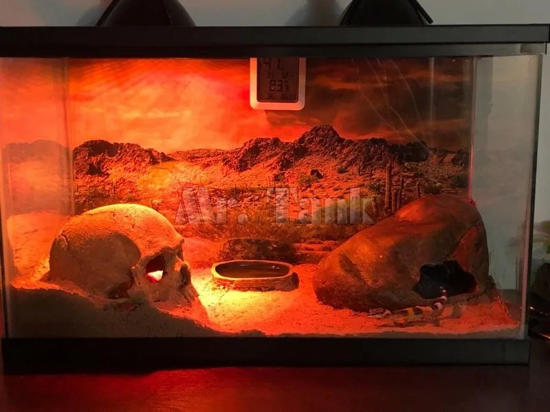 Mr.Tank Reptile Habitat Background Poster HD Desert View