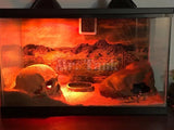 Mr.Tank Reptile Habitat Background Poster HD Desert View