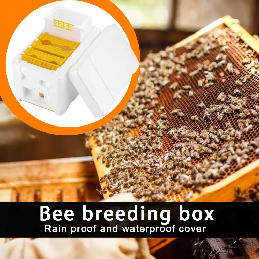 Beehive Beekeeping King Box Foam Home Bee Hive