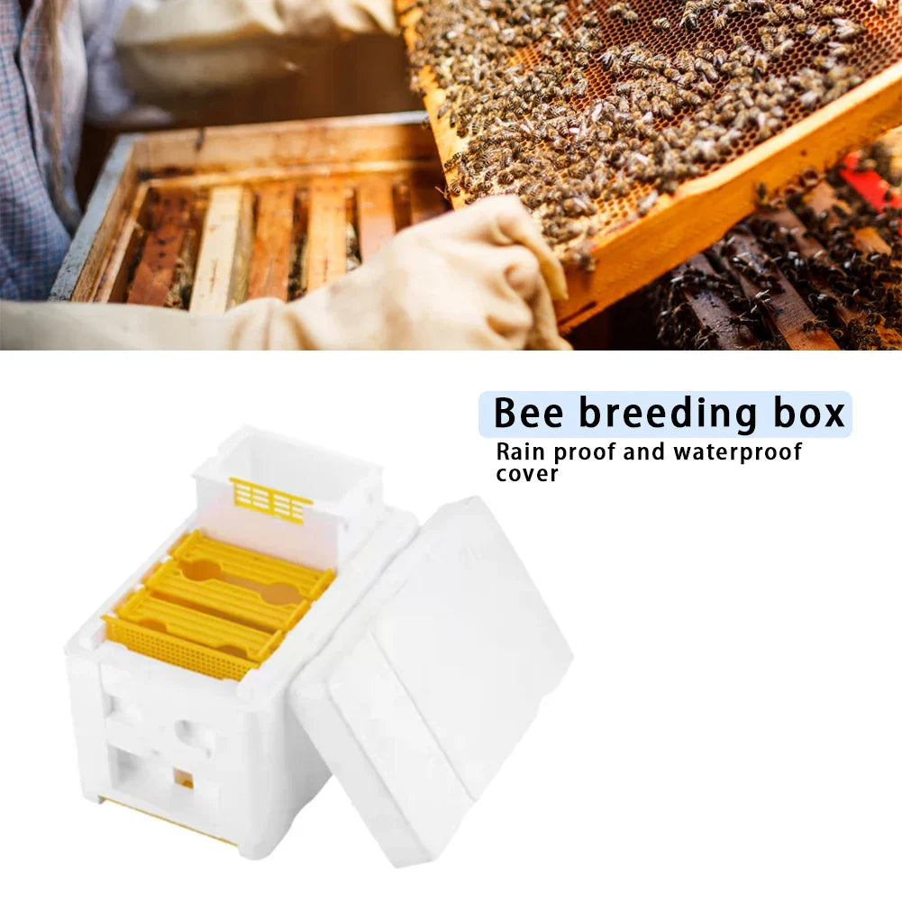 Beehive Beekeeping King Box Foam Home Bee Hive