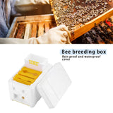 Beehive Beekeeping King Box Foam Home Bee Hive