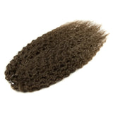 Ariel Hair Synthetic Twist Crochet Curly Hair 24