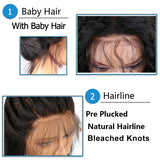 Topodmido Highlight Brown Color Curly 13x6 Lace Wig
