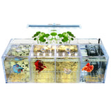 220V Creative Betta Fish Tank Breeding Incubator Isolation