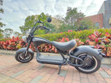 M1P Chopper Scooter 3000W 30AH Most Popular Citycoco