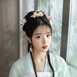Chinese Hanfu Hair Accessories Set Long Fringed Vintage