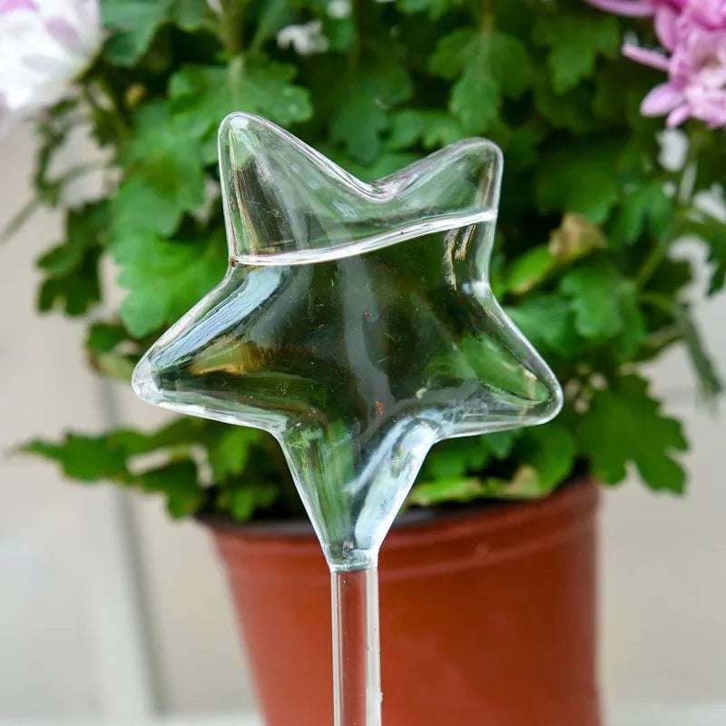 House Garden Water Houseplant Plant Pot Little Bird