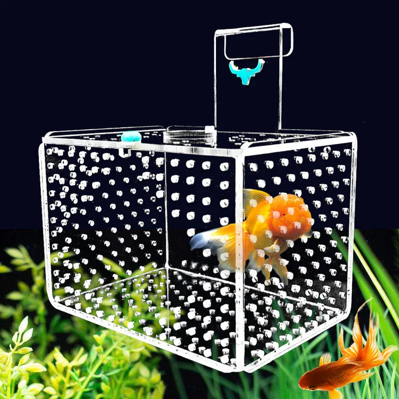 Aquarium Incubator Transparent Acylic Fish Tank Isolation Box