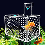 Aquarium Incubator Transparent Acylic Fish Tank Isolation Box