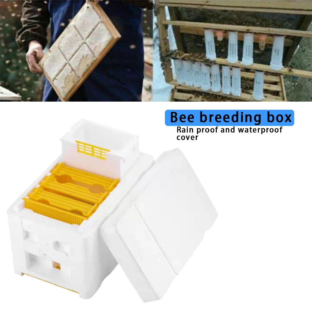 Beehive Beekeeping King Box Foam Home Bee Hive