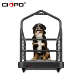 Hot Sale Dog Sport Equipment for Pet Exercise