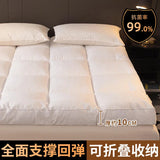 Hotel special mattress thickened home mat single bed