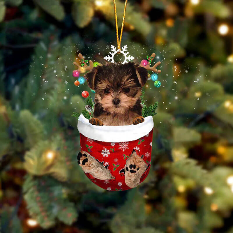 Maltese And Yorkie Mix In Snow Pocket Christmas