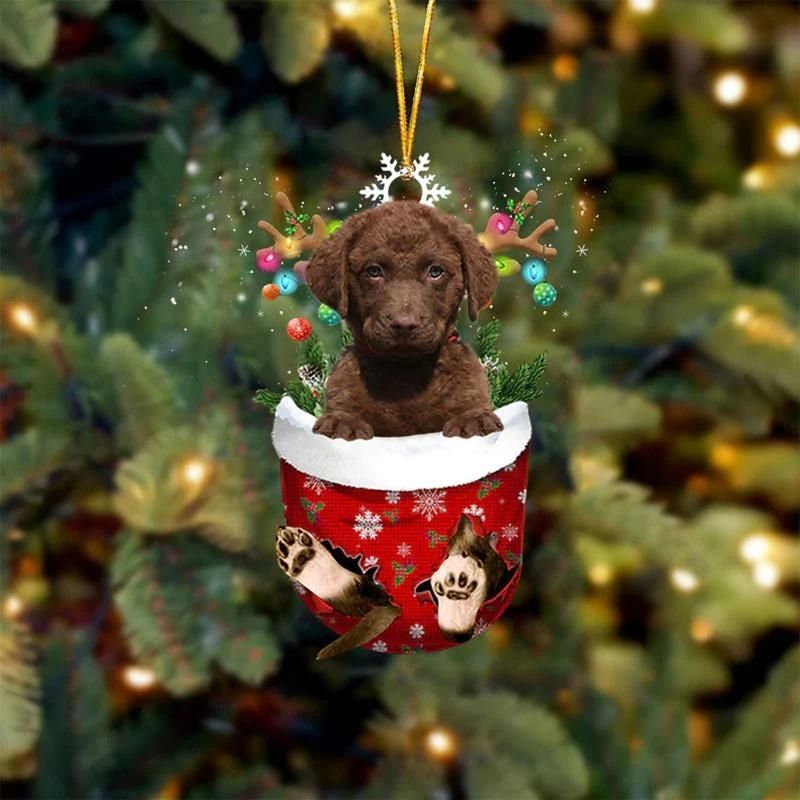 Chesapeake Bay Retrievers In Snow Pocket Christmas Ornament