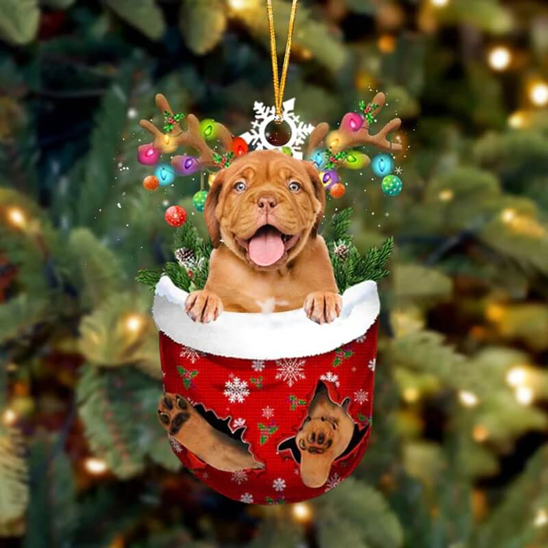 Dogue De Bordeaux In Snow Pocket Christmas Ornament