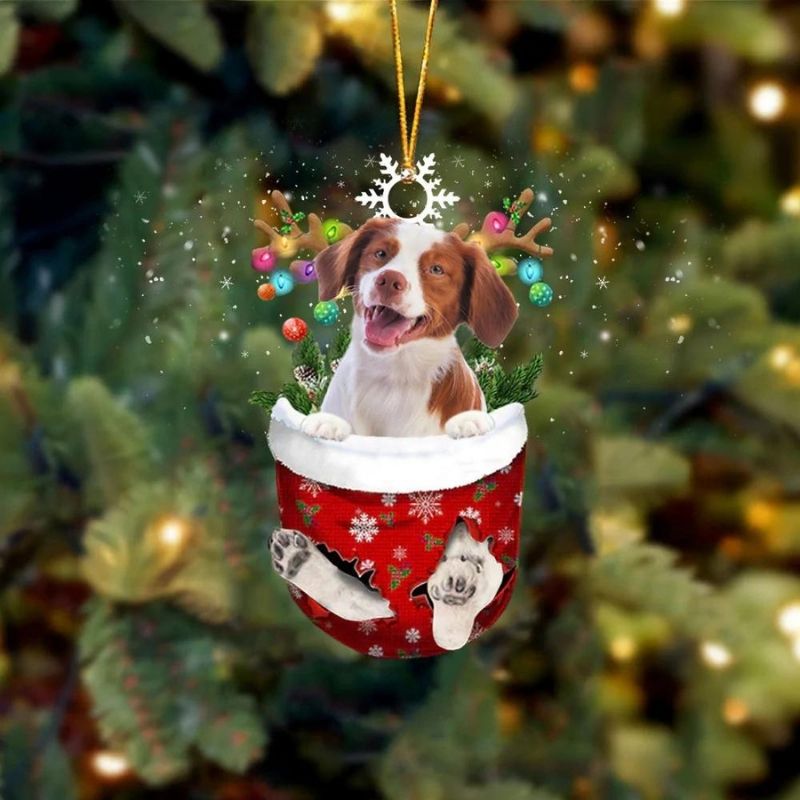 Brittany Spaniels Red and White In Snow Pocket