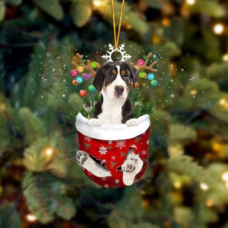 Greater Swiss Mountain Dog In Snow Pocket Christmas