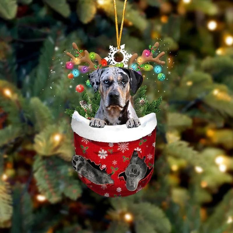 Catahoula Leopard Dog In Snow Pocket Christmas Ornament