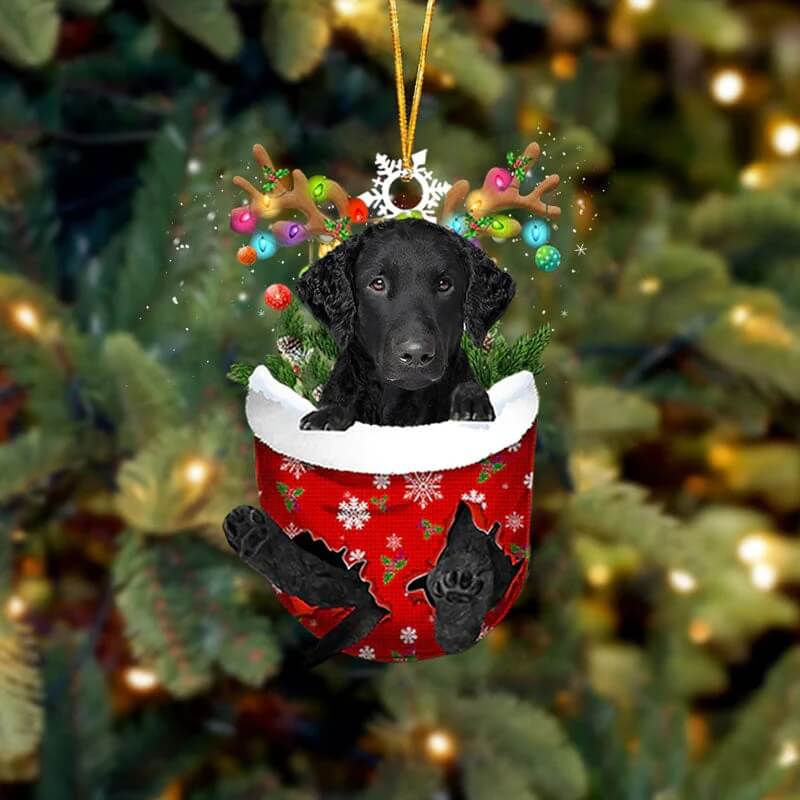 Curly Coated Retriever In Snow Pocket Christmas Ornament