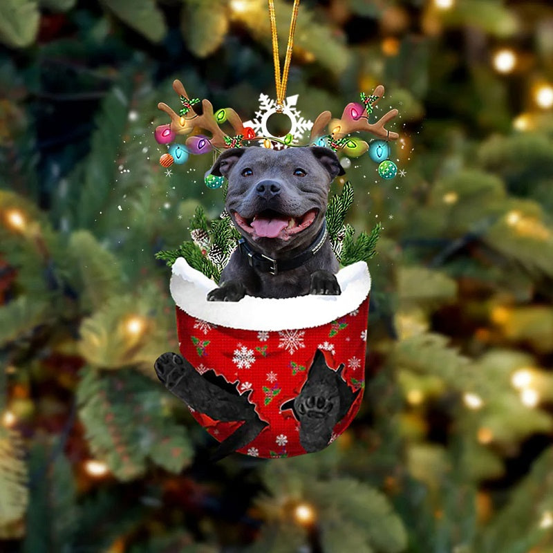 English Staffordshire Bull Terrier In Snow Pocket Christmas