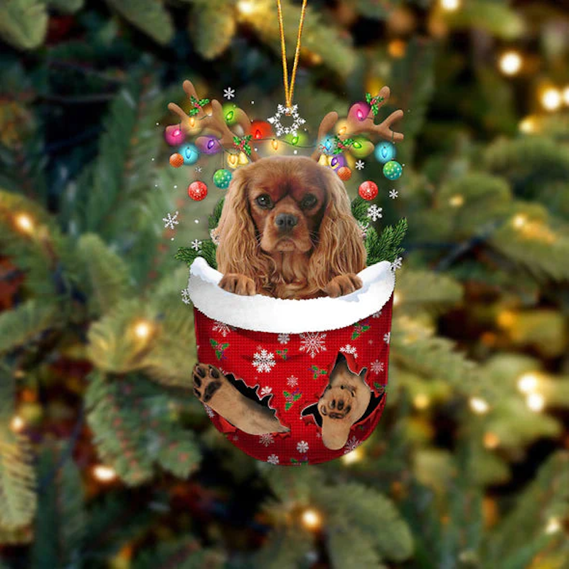 Cavalier King Charles Spaniel In Snow Pocket Christmas
