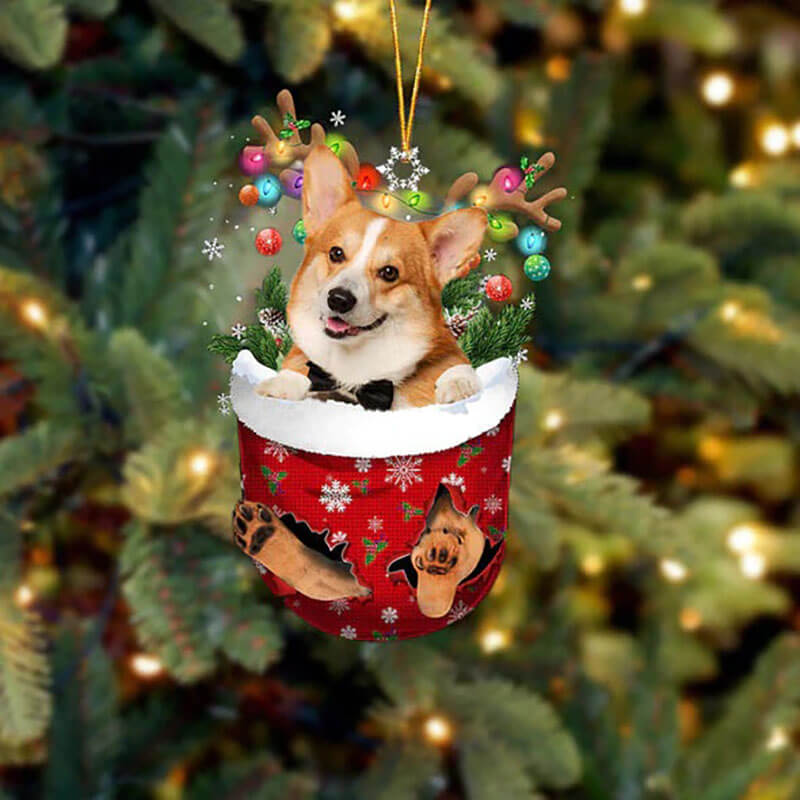 Pembroke Welsh Corgi In Snow Pocket Christmas Ornament