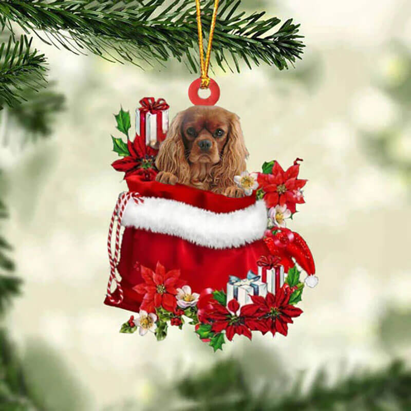 Cavalier King Charles Spaniel In Gift Bag Christmas