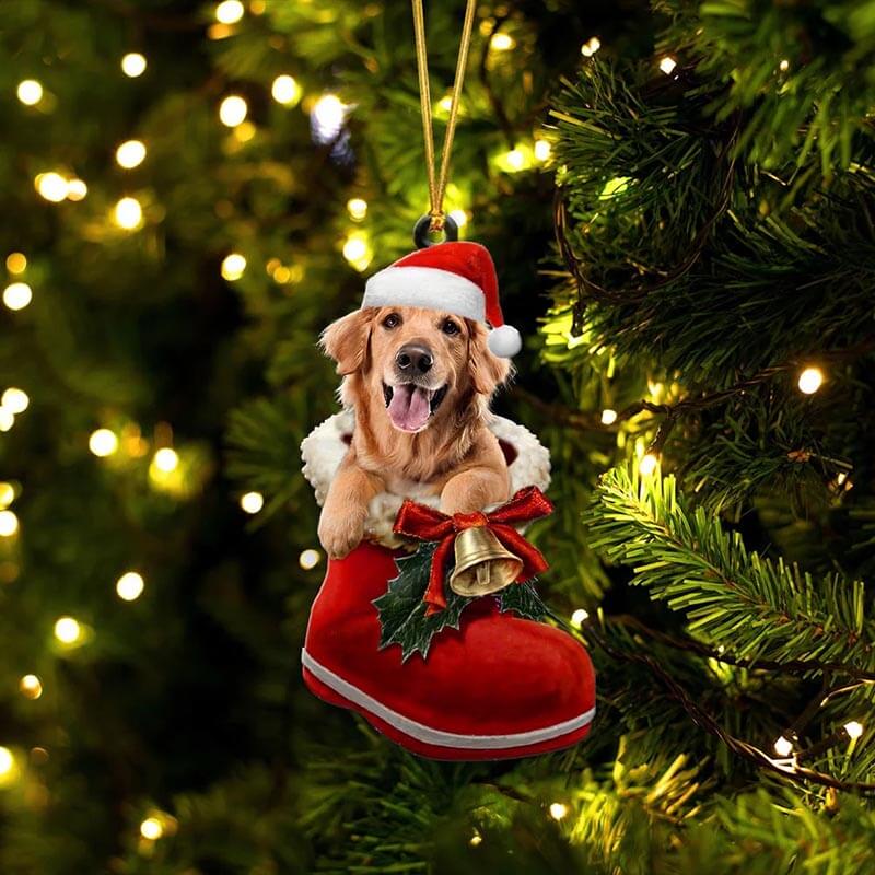 Dark Golden Retriever In Santa Boot Christmas Hanging