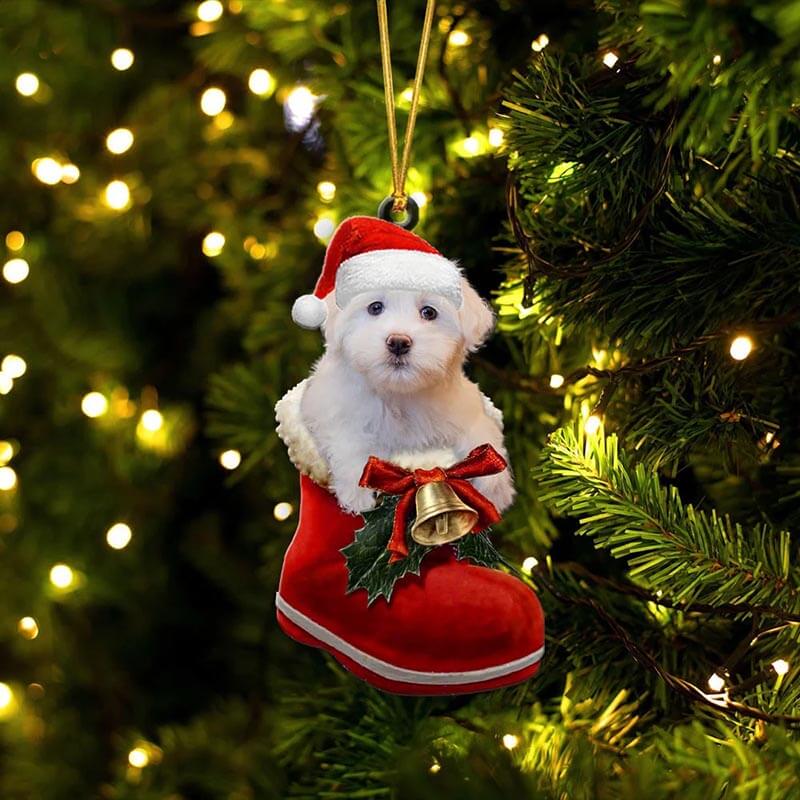 Coton De Tulear In Santa Boot Christmas Hanging