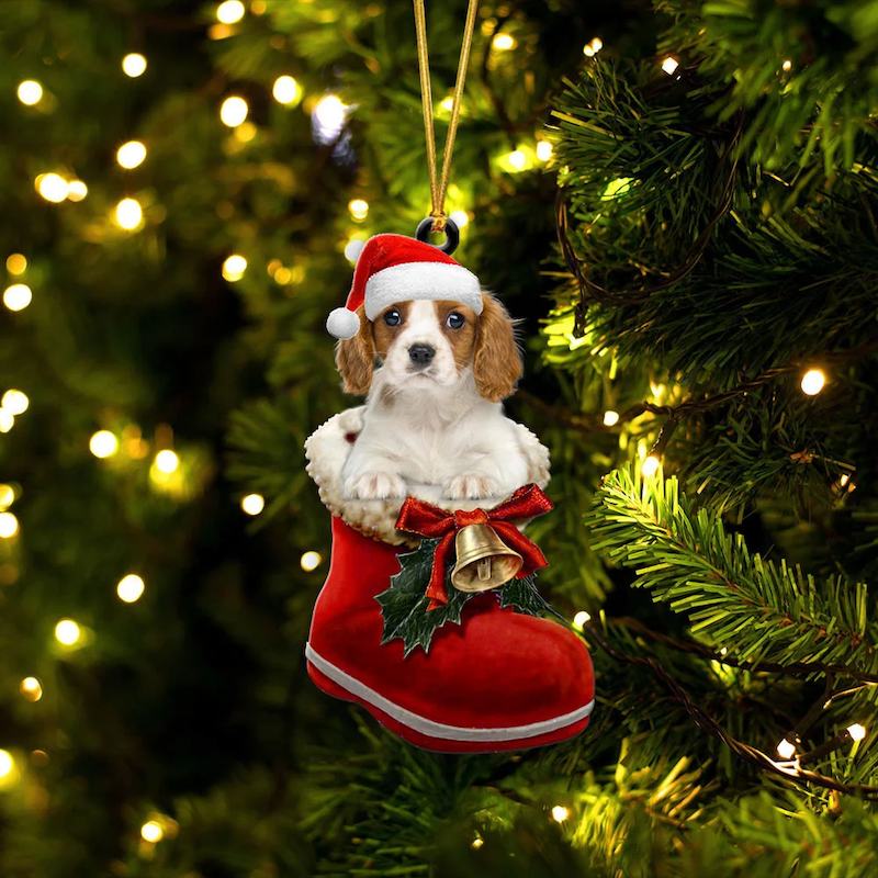 Cavalier King Charles Spaniel In Santa Boot Christmas