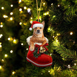 Carolina Dog In Santa Boot Christmas Hanging Ornament