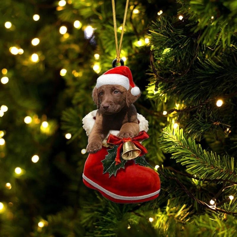 Chesapeake Bay In Santa Boot Christmas Hanging Ornament