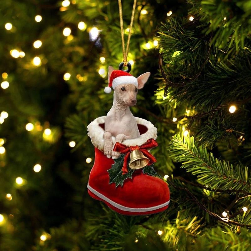 Peruvian Inca Orchid In Santa Boot Christmas Hanging