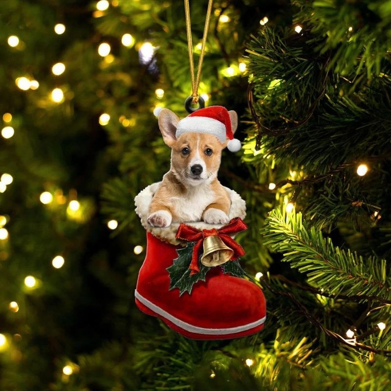 Pembroke Welsh Corgi Fawn & White In Santa
